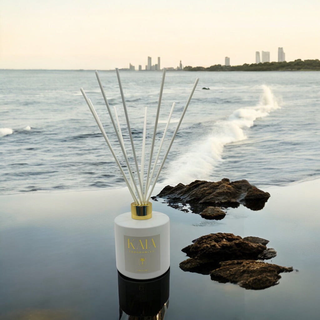 Reed diffuser with 'Kala' branding on a beach with water and city skyline in the background